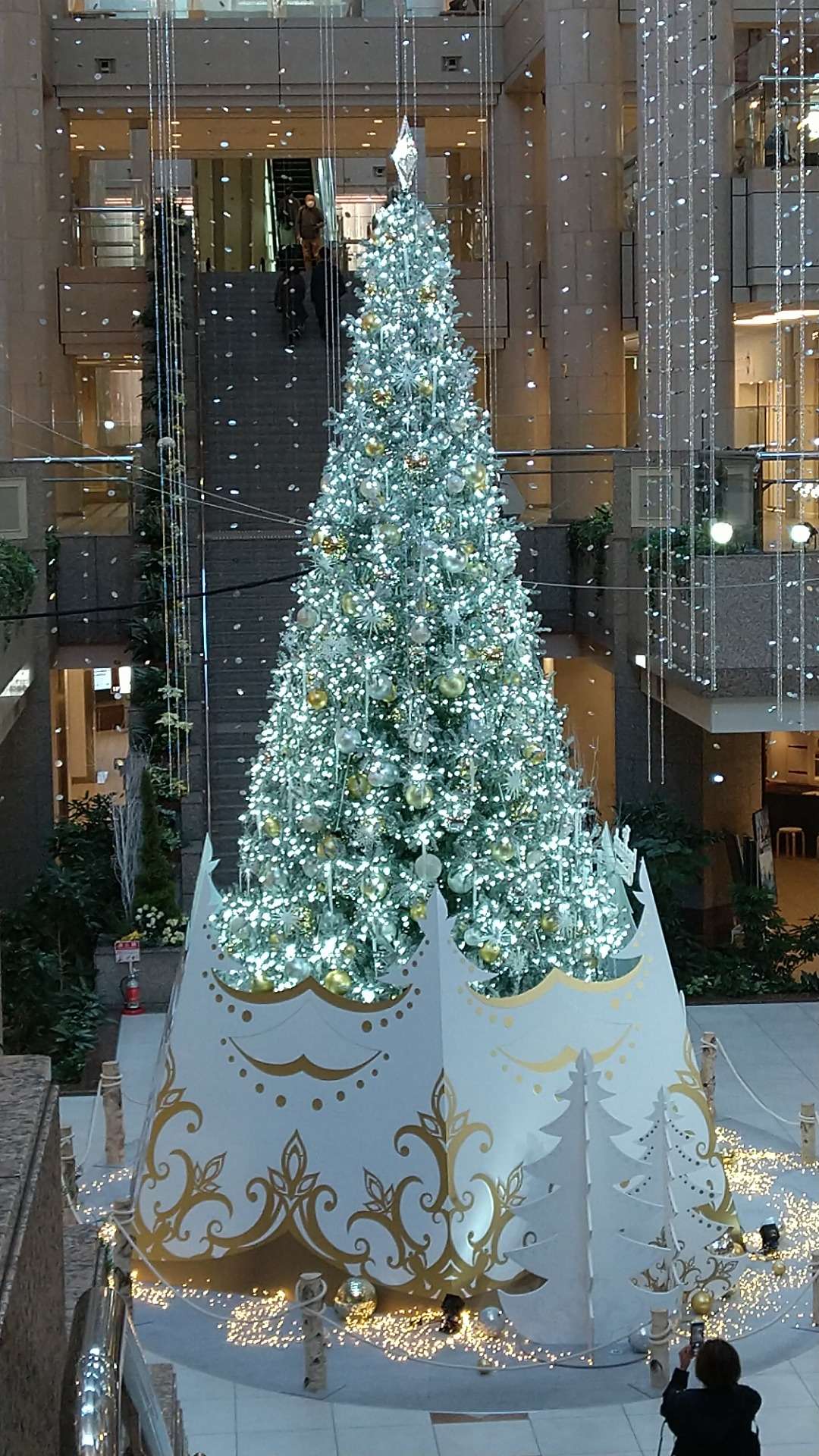 クリスマスイルミネーション in 桜木町✨